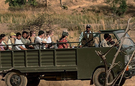 canter safari in tadoba