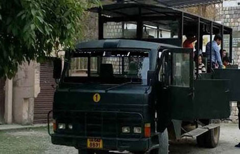 tadoba canter safari