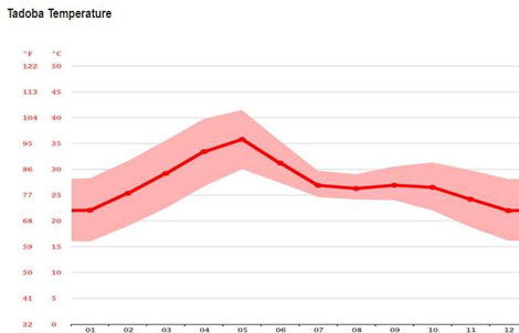 tadoba temprature