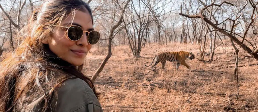 malavika in tadoba