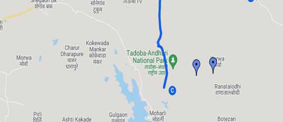 tadoba map