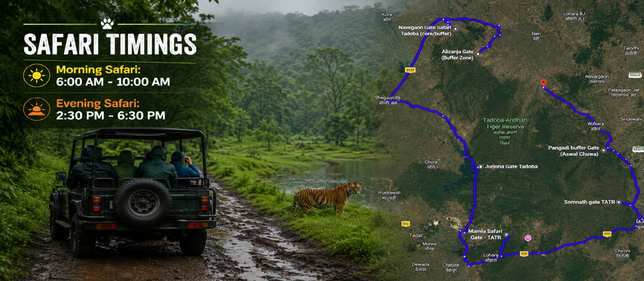 Tadoba Buffer Zone Safari Guide for Monsoon 2026