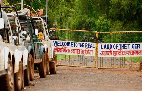 safari gate in tadoba