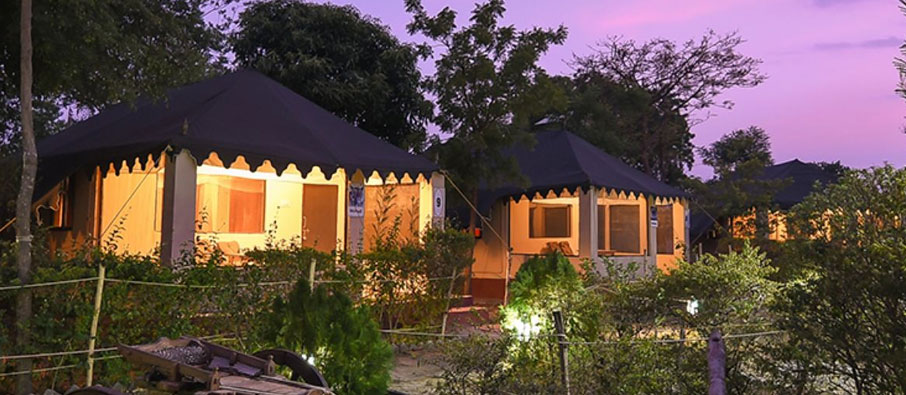 Stay at Camp Serai Tiger Tadoba and Enjoy Safari at Moharli Zone