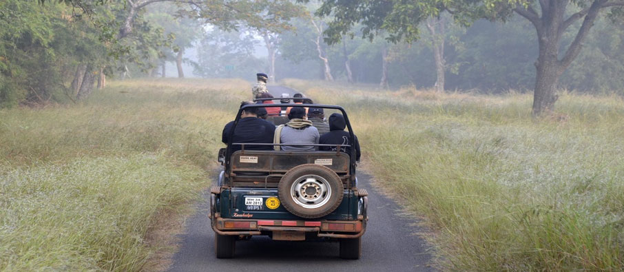 tadoba gypsy safari