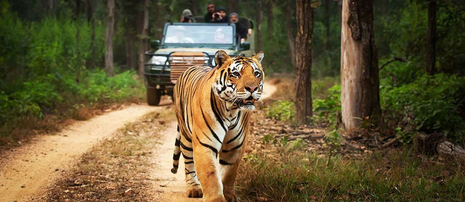 tadoba underrated places