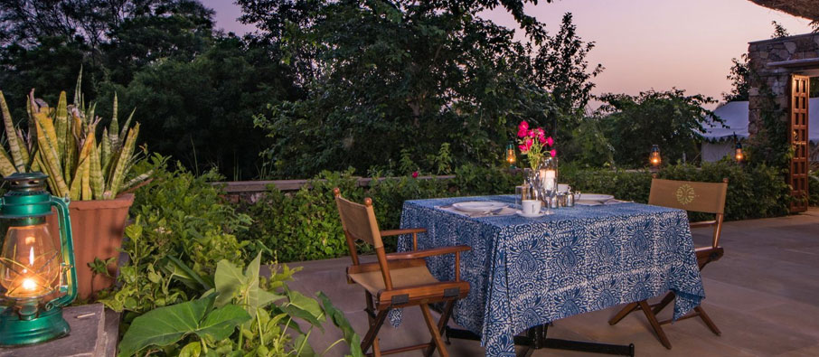 Plan the Ultimate Tadoba Wildlife Safari with a Luxurious Stay at Tigress @Ghosri
