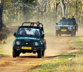 tadoba jeep safari