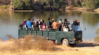 tadoba tour packages