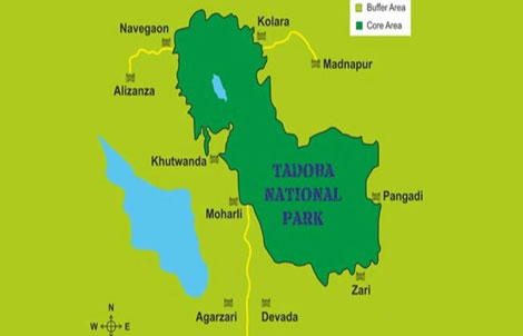 tadoba safari zone